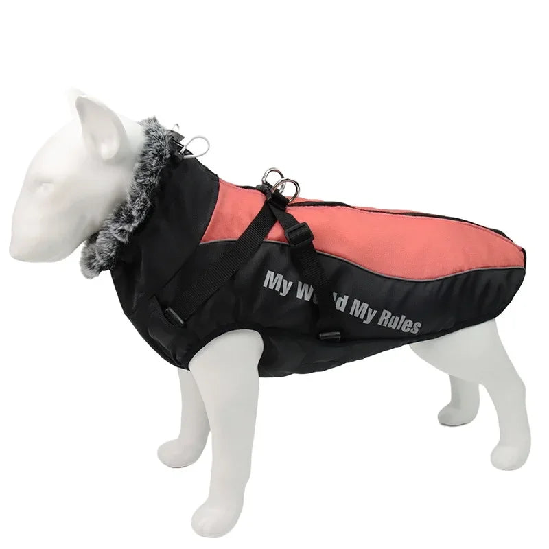 Vêtements imperméables pour chiens