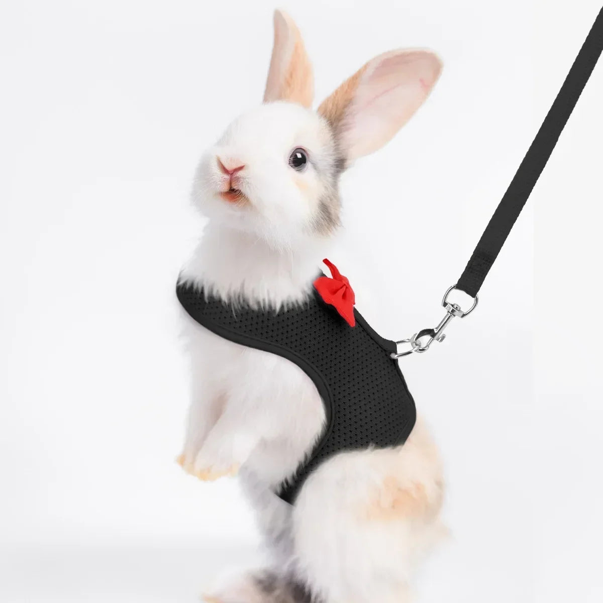 Harnais en maille souple pour lapin et petit animal de compagnie