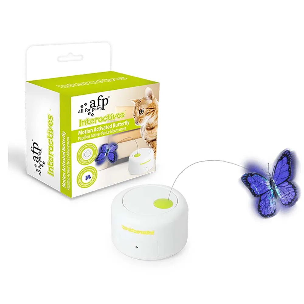 Jouet interactif chasse-papillon pour chat