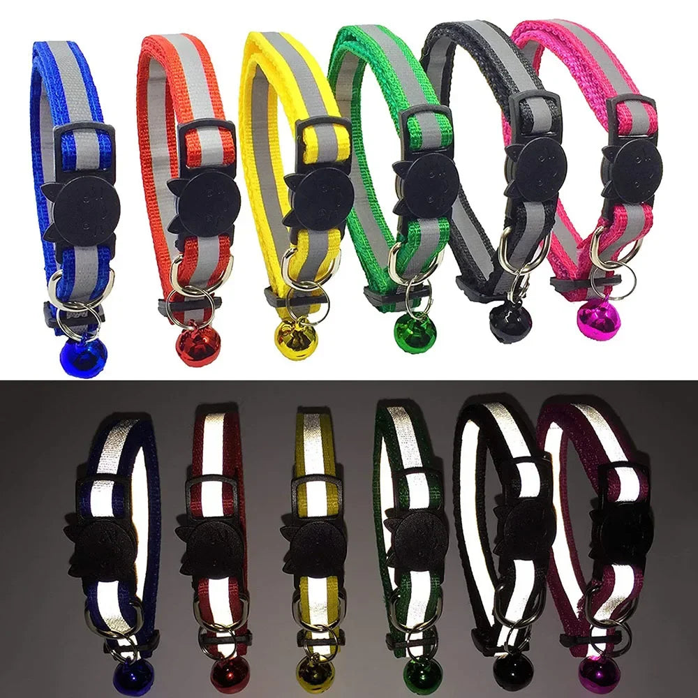 Collier réfléchissant pour chat et chien