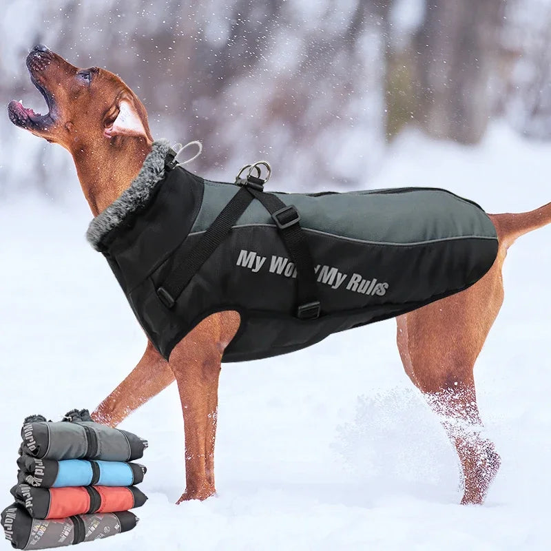 Vêtements imperméables pour chiens