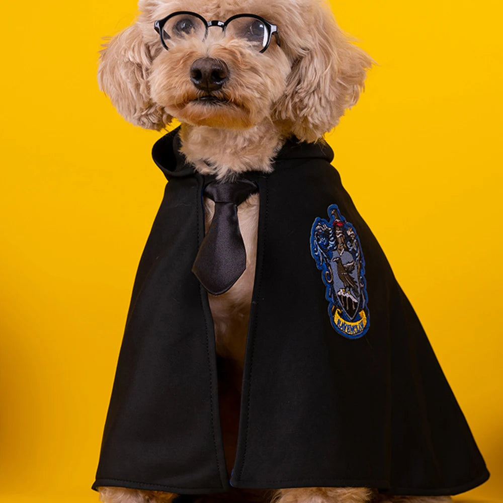 Costume Académie de la magie pour animaux de compagnie