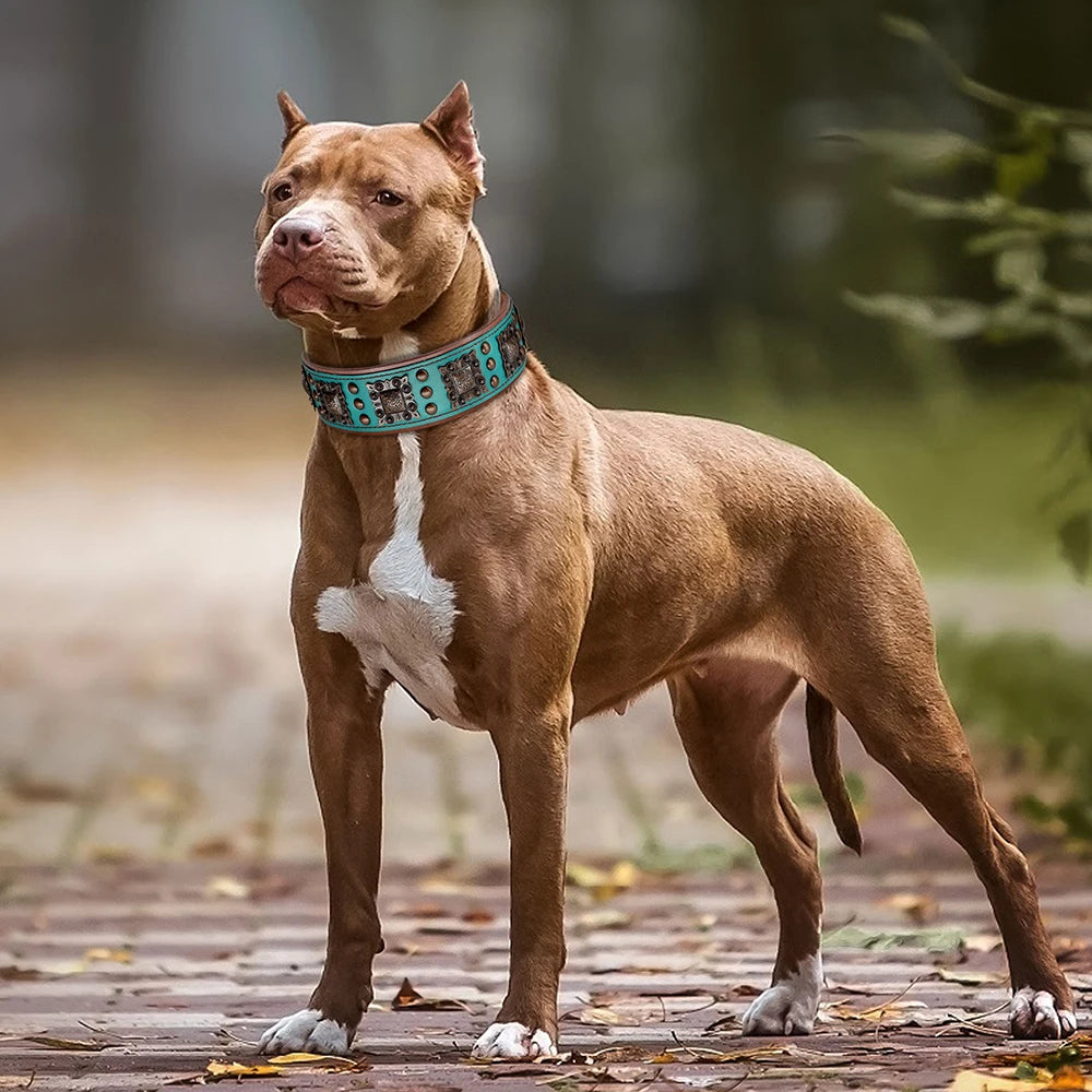 Collier pour chien en cuir véritable de luxe avec ornements