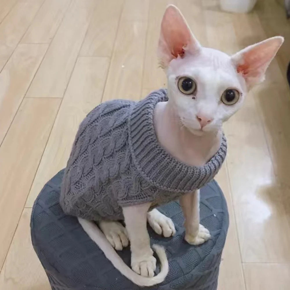 Pull tricoté chaud pour chat