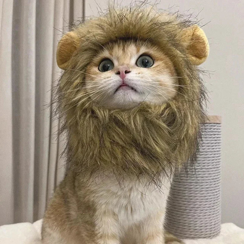 Bonnet capuche perruque de lion amusant pour chat