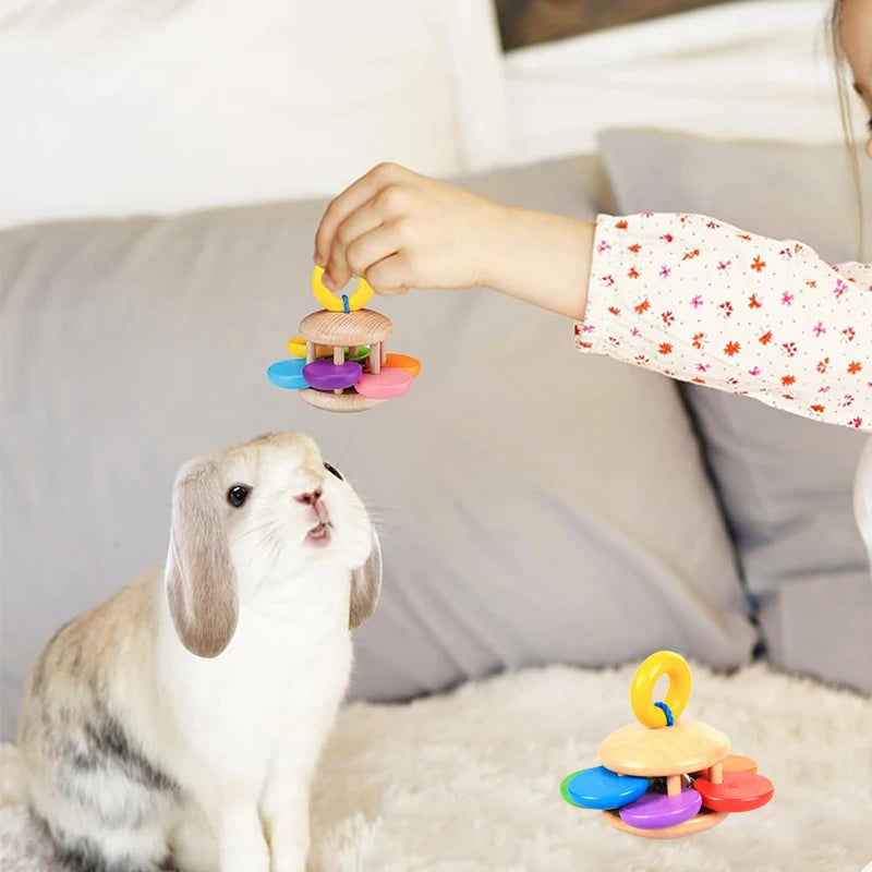 Jouets interactifs en bois pour rongeurs