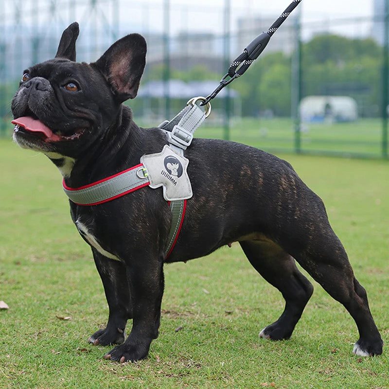 Harnais pour petit et moyen chien