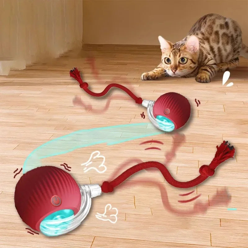 Jouet balle interactif pour chat