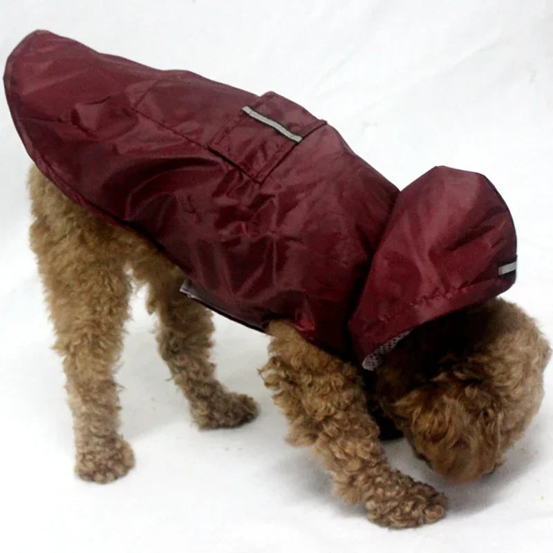 Imperméable pour chien