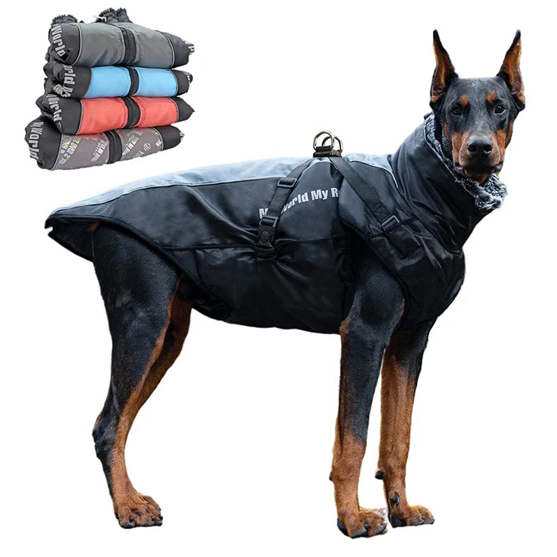 Vêtements imperméables pour chiens