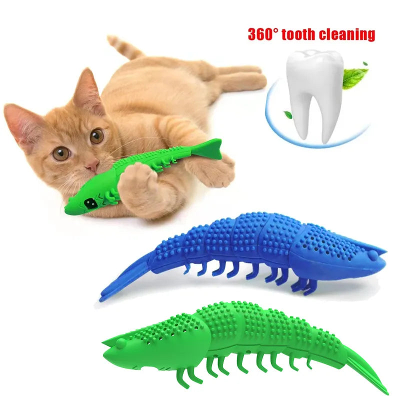 Jouet interactif brosse à dents pour chat