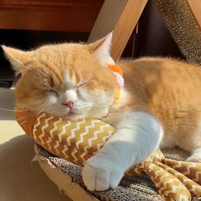 Jouets en forme de poisson à mâcher pour chat à l'herbe à chat