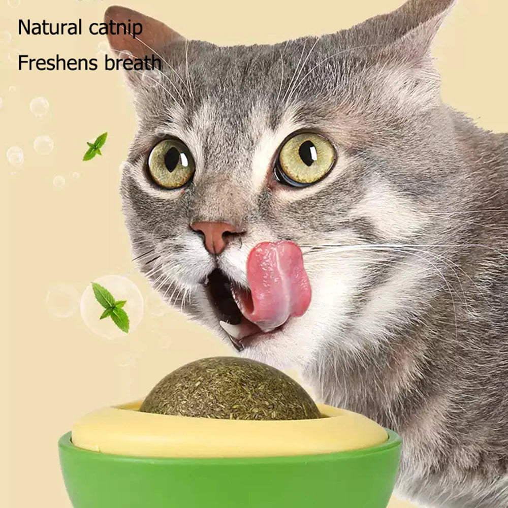 Jouet à l'herbe à chat en forme d'avocat. Boule murale rotative