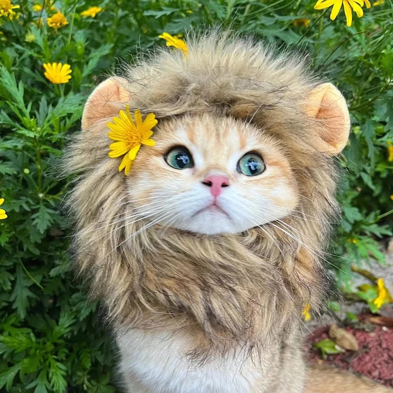 Crinière de lion pour chat et petit chien