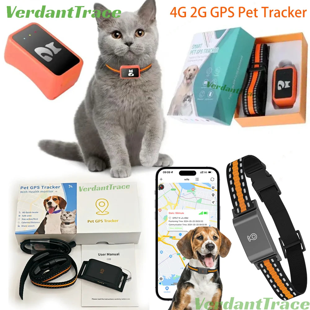 Collier de suivi GPS pour animaux, étanche IP67, 4G, anti-perte, en temps réel