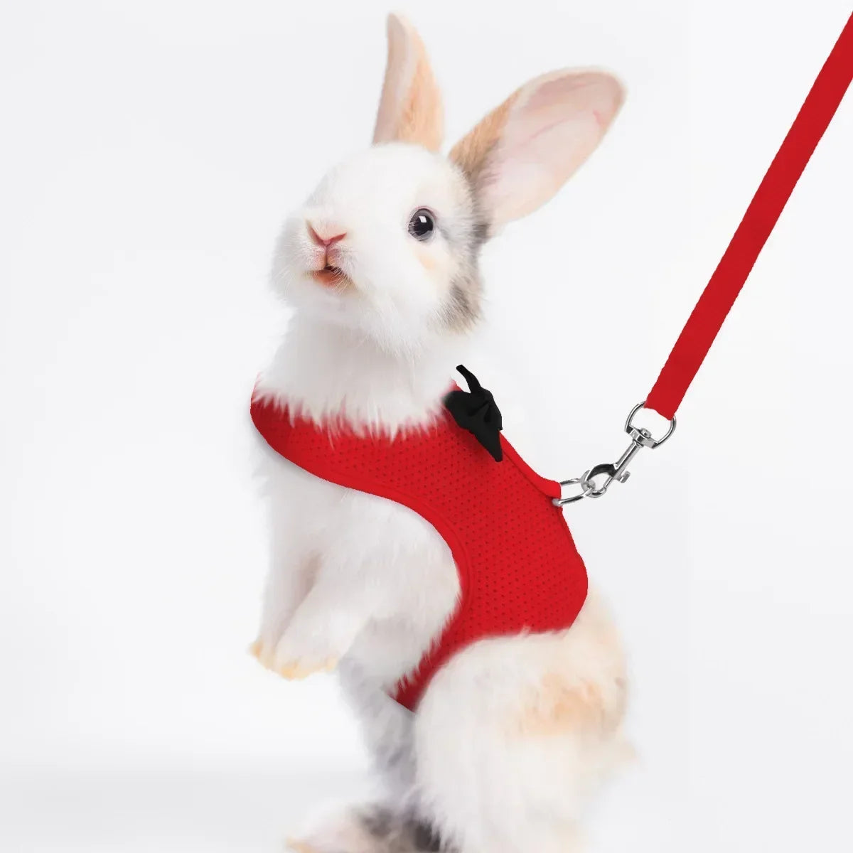 Harnais en maille souple pour lapin et petit animal de compagnie
