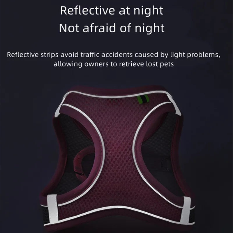 Harnais pour chien gilet avec laisse, sangle de poitrine réglable.