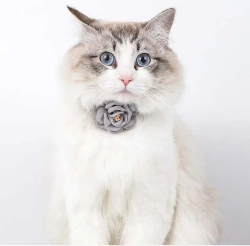 Collier en coton et lin, orné d'une fleur en 3D pour chat et petit chien