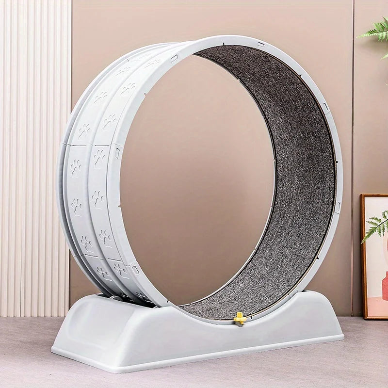 Roue d'exercice pour chat avec griffoir, jouet de course silencieux