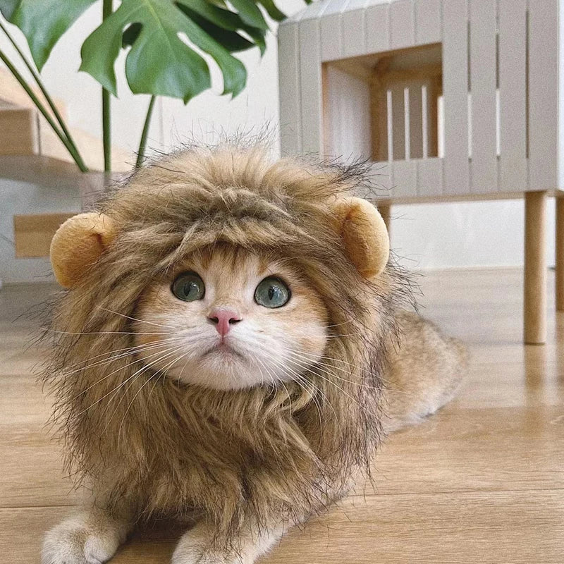 Crinière de lion pour chat et petit chien