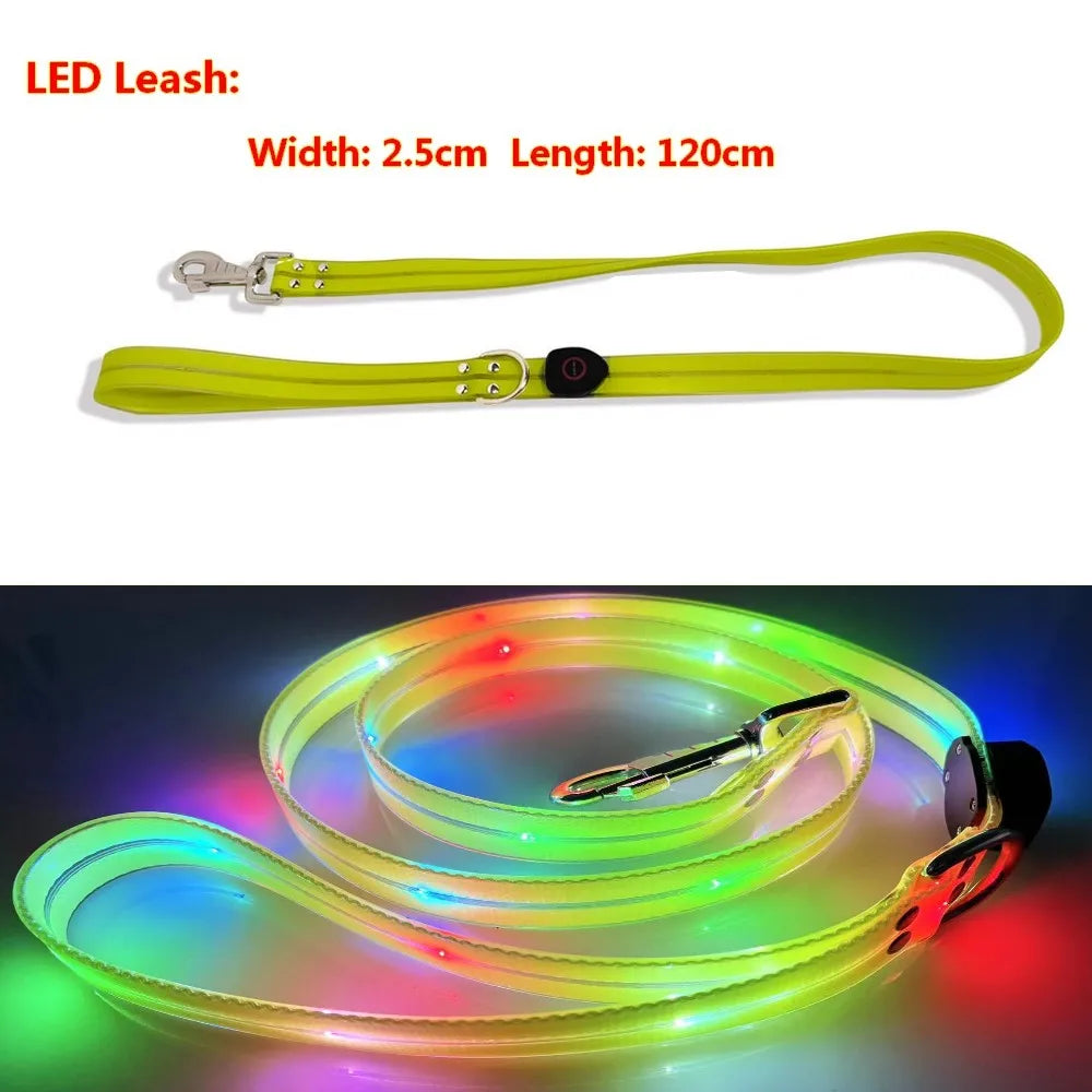 Laisse lumineuse LED pour chien/ ensemble laisse et collier