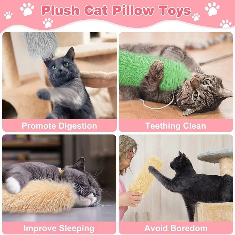 Oreiller en peluche pour chat, jouet sonore à l'herbe à chat, jouet à mâcher