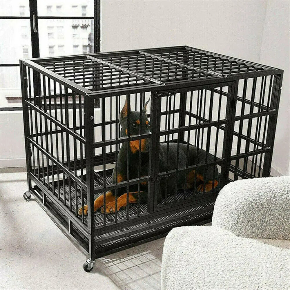 Cage pour chien robuste avec 4 roues verrouillables, 3 portes, plateau amovible