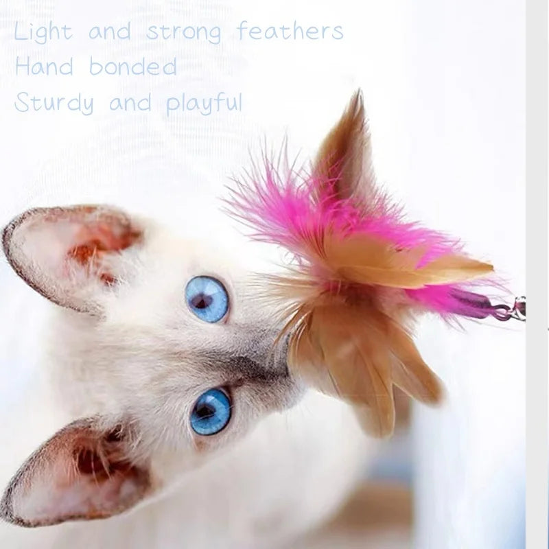 Jouet pour chats collier à plumes interactif