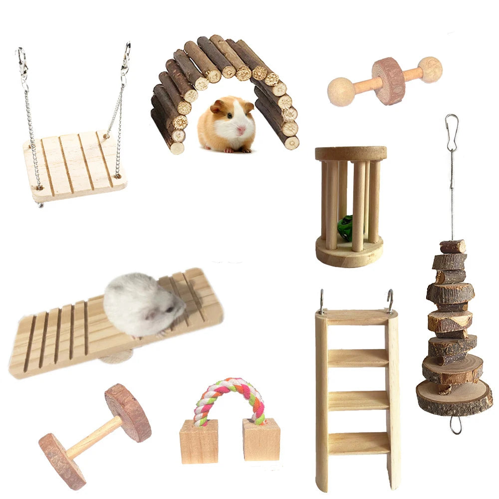 Accessoires cage pour petit rongeur