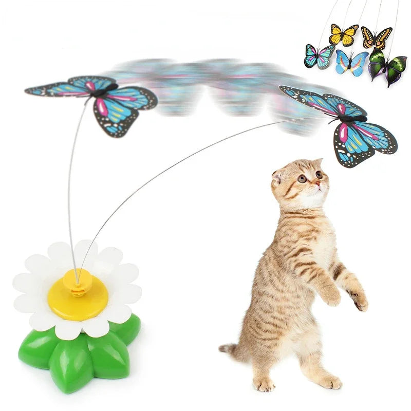Jouet interactif chasse-papillon pour chat