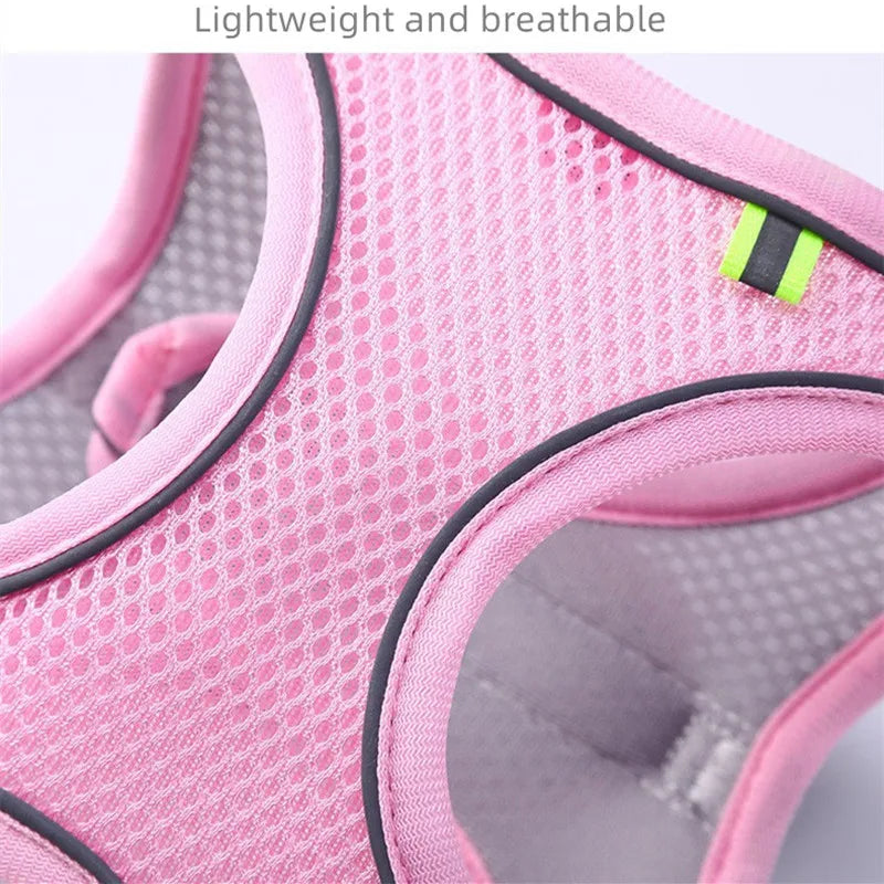 Harnais pour chien gilet avec laisse, sangle de poitrine réglable.