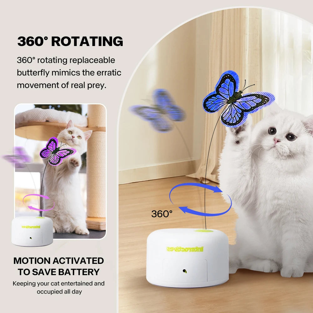 Jouet interactif chasse-papillon pour chat