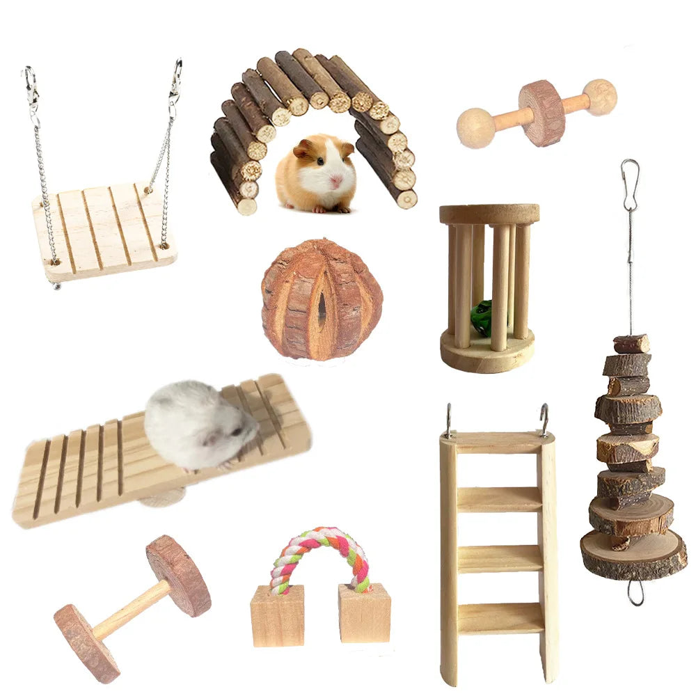 Accessoires cage pour petit rongeur