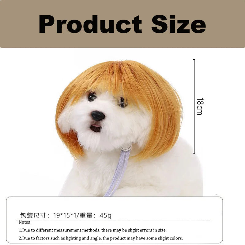 Perruque originale et amusante pour chat