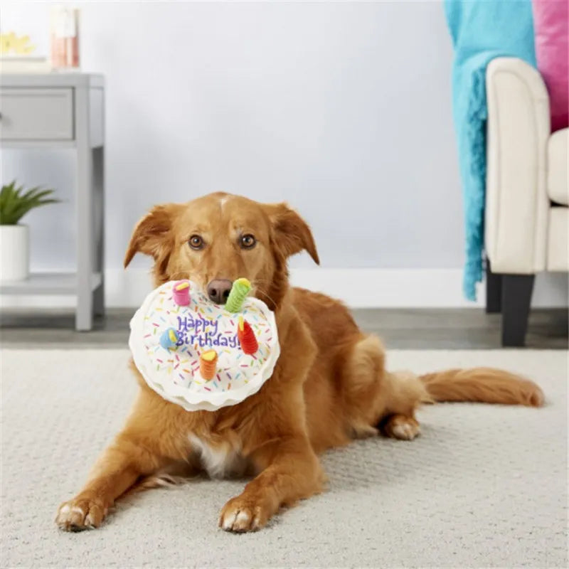 Jouets peluches anniversaire pour chien