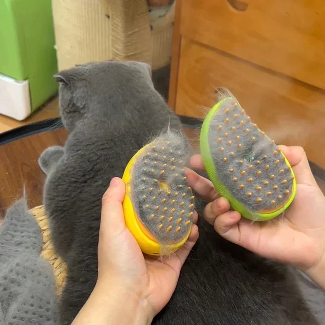 Brosse à vapeur 3 en 1  pour chat et chien