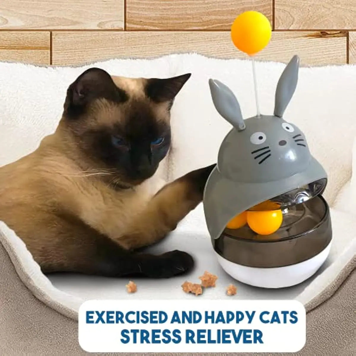 Jouet interactif pour chat, distributeur de friandises, jouet d'exercice