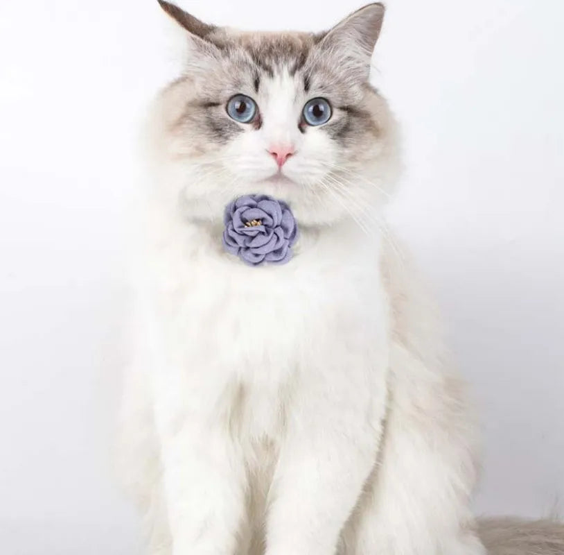 Collier en coton et lin, orné d'une fleur en 3D pour chat et petit chien