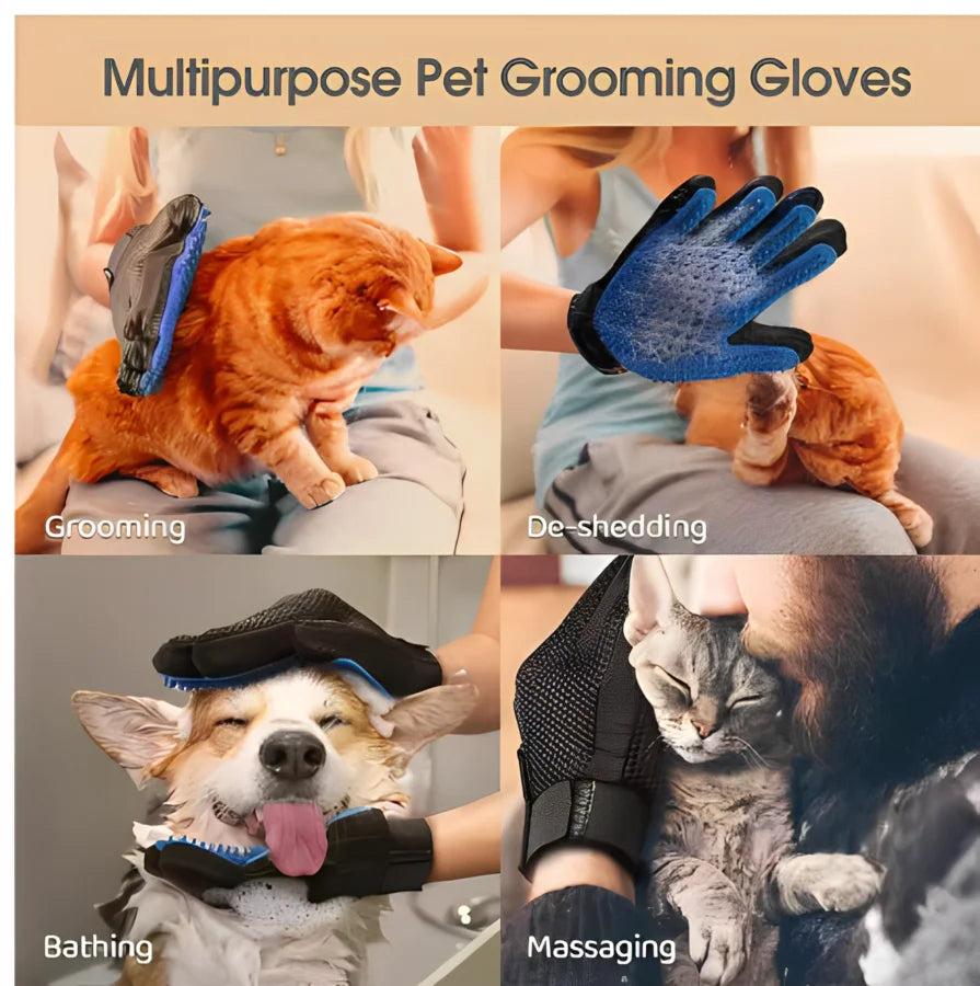 Gant pour animaux de compagnie, brosse de toilettage