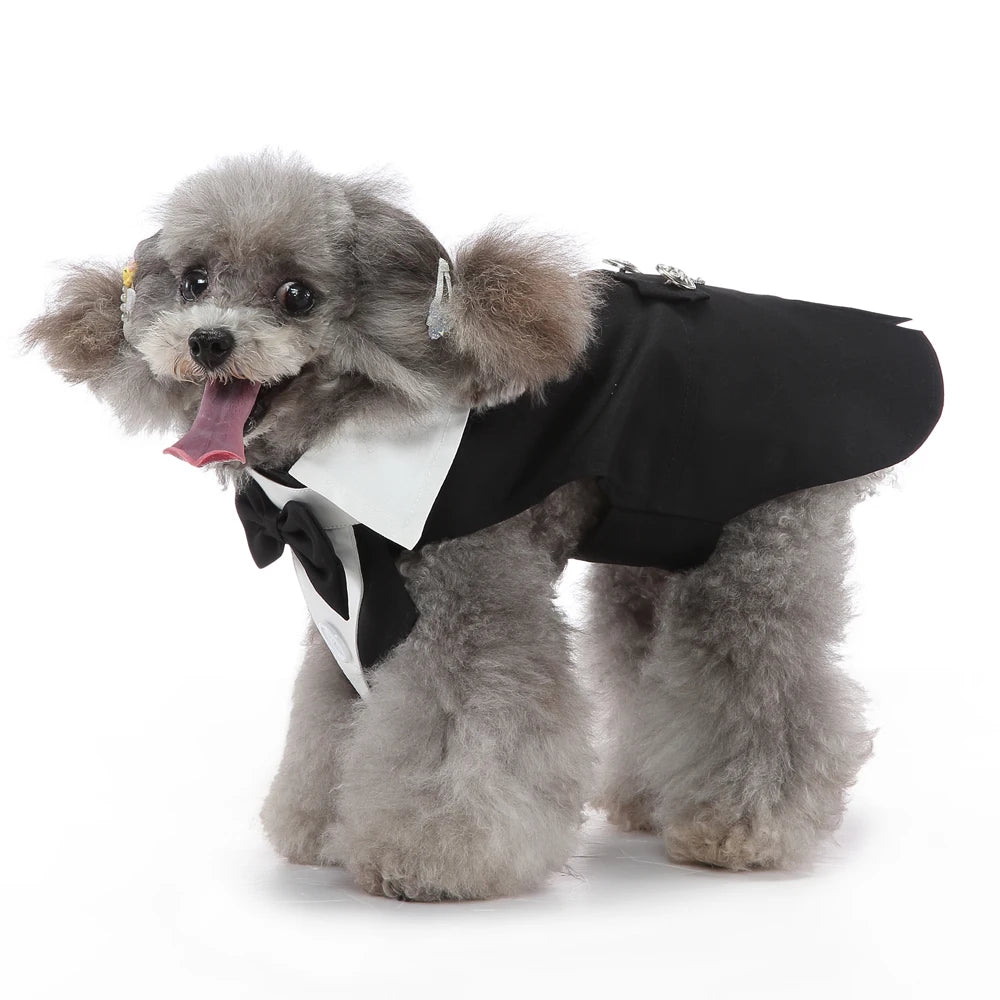 Costume de smoking, déguisement pour chien et chat