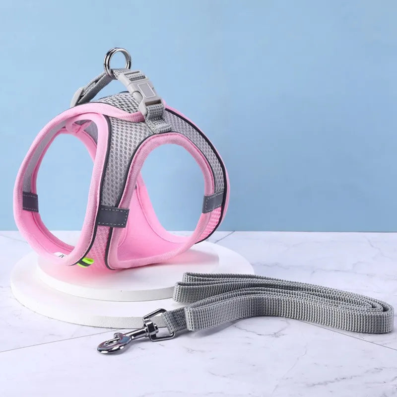 Harnais pour chien gilet avec laisse, sangle de poitrine réglable.