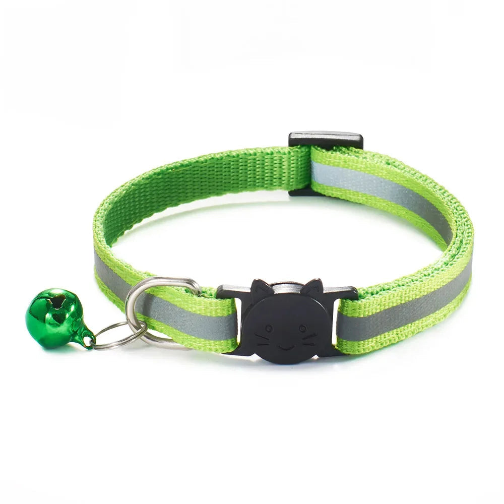 Collier réfléchissant pour chat et chien