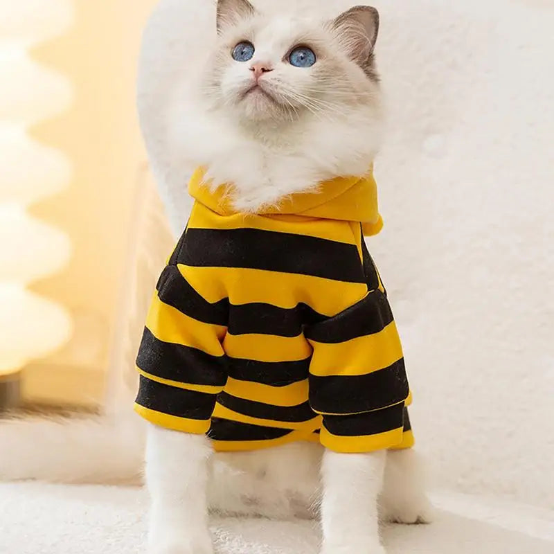 Costume d'abeille pour chat et petit chien