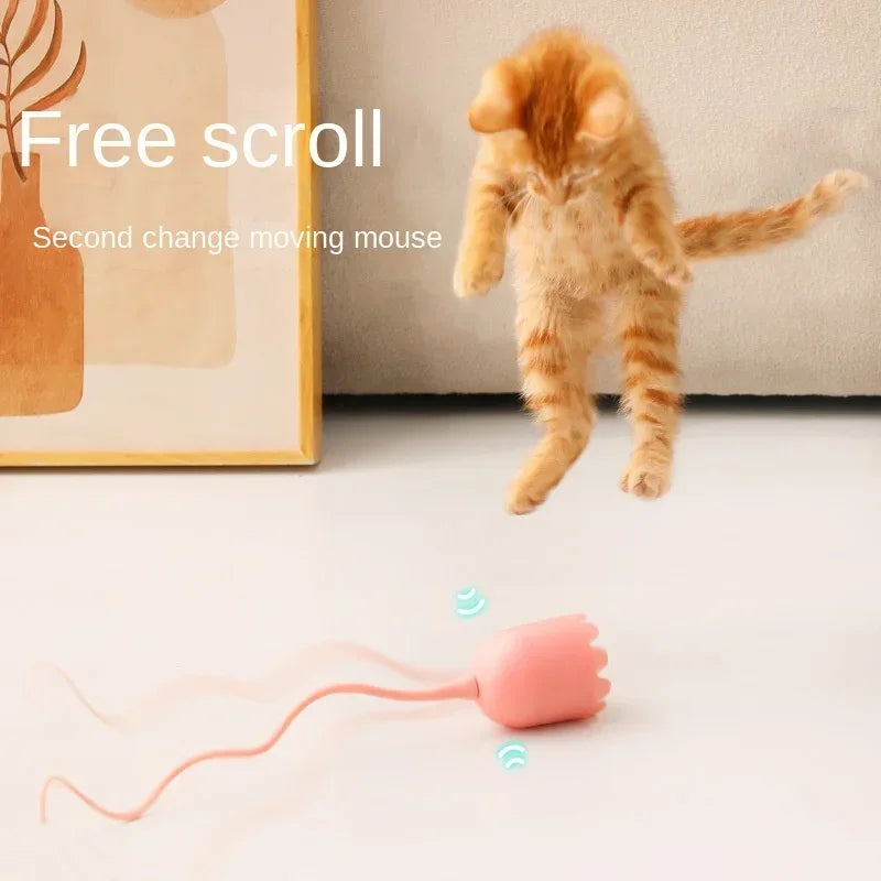 Jouet interactif pour chaton et chat