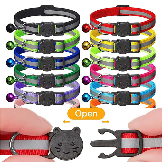 Collier réfléchissant pour chat et chien