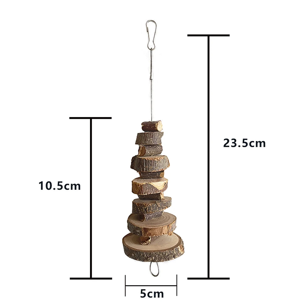 Accessoires cage pour petit rongeur