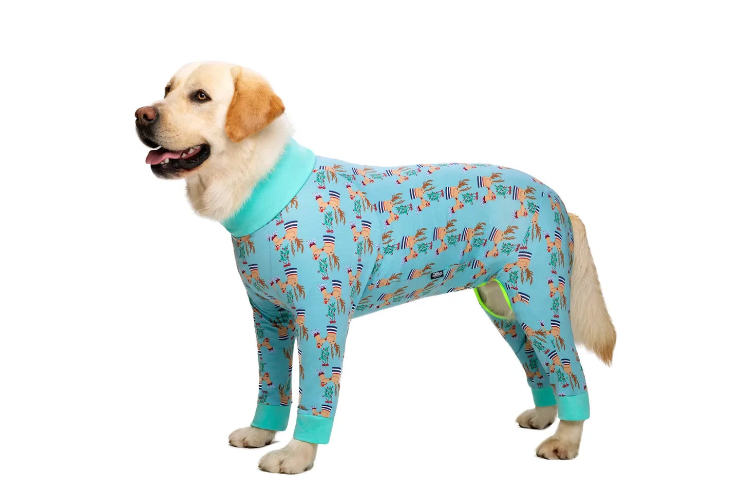 Pyjama pour chien avec imprimé au choix