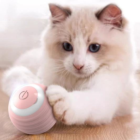 Balle interactive pour chat