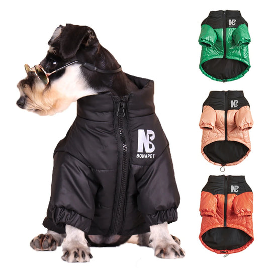 Vêtements épais, coupe-vent pour chien