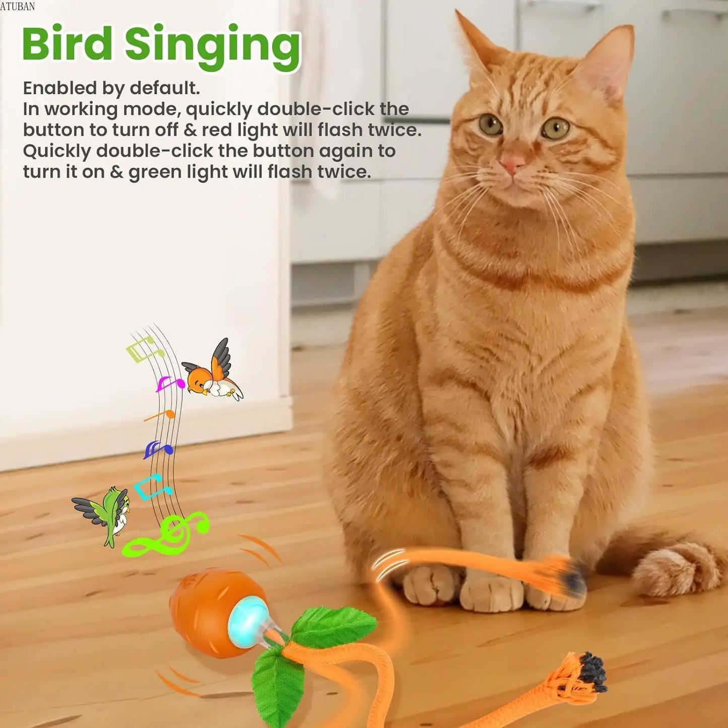 Jouet balle carotte interactif pour chat